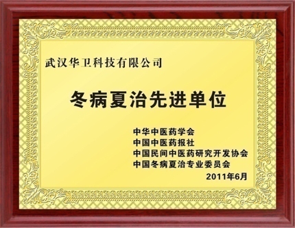 冬病夏治先進單位